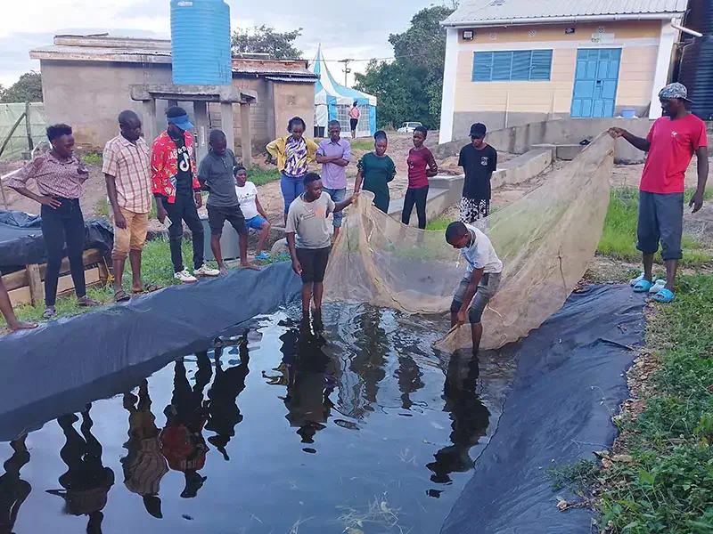 aquaculture