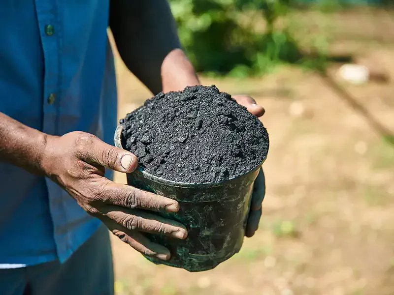 biochar